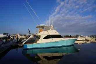 Thumbnail von Viking 55C A2Z's