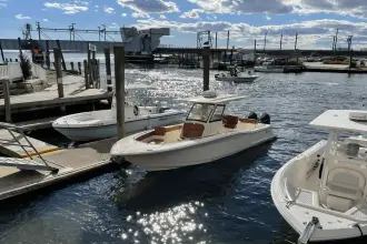 Thumbnail von Scout 277 LXF