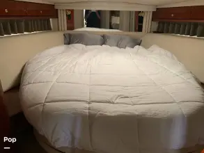 Thumbnail von シー レイ 510 サンダンサー