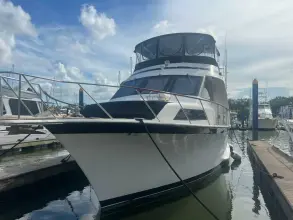 Thumbnail von Ocean Yachts 53 Motor Yacht Ocean Odyssey