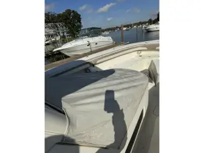 Thumbnail von Scout 345 Sportfish