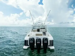 Thumbnail von Intrepid 430 Sport Yacht Virgo