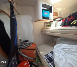 Thumbnail von シー レイ 500 サンダンサー