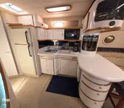 Thumbnail von シー レイ 500 サンダンサー