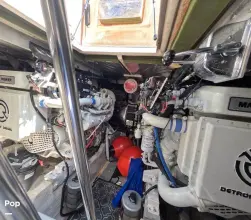 Thumbnail von シー レイ 500 サンダンサー