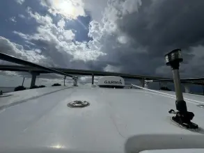 Thumbnail von Twin Vee 28 GF