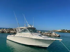 Thumbnail von Grady White Express 360  BONA VITA