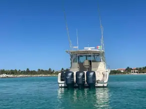 Thumbnail von Grady White Express 360  BONA VITA