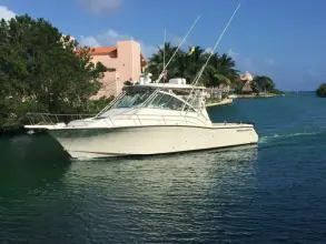 Thumbnail von Grady White Express 360  BONA VITA