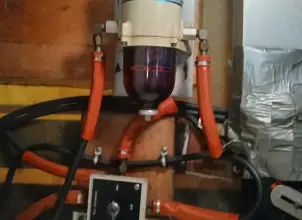 Thumbnail von Bertram 46 Flybridge Motor Yacht