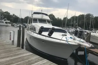 Thumbnail von Bertram 46 Flybridge Motor Yacht