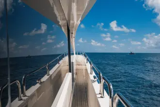 Thumbnail von Sunseeker 86 Yacht