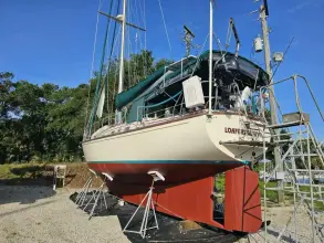 Thumbnail von Island Packet 44 Loafer's Glory II