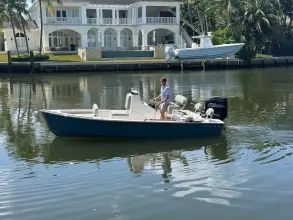 Thumbnail von Dragonfly 21 Spanish Well