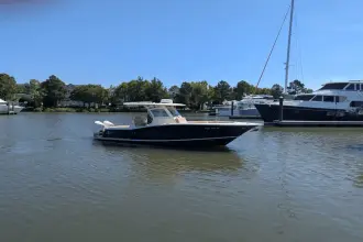 Thumbnail von Scout 300 LXF