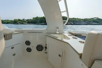 Thumbnail von Boston Whaler 350 Realm BLUE SKIES