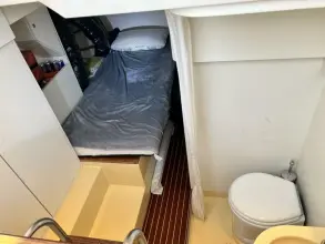 Thumbnail von Mochi Craft Dolphin 51