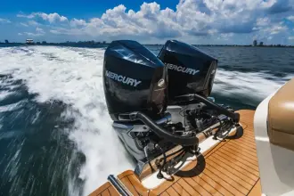 Thumbnail von Scout 305 LXF