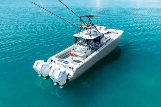 Thumbnail von Freeman 42 LR