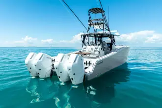 Thumbnail von Freeman 42 LR