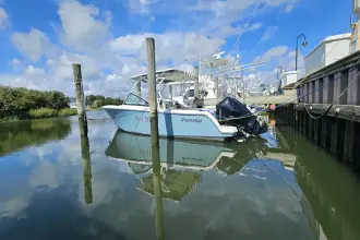 Thumbnail von Sailfish 276 DC