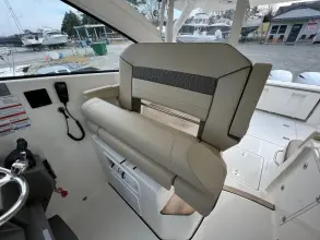 Thumbnail von Pursuit DC 365 Aquathena