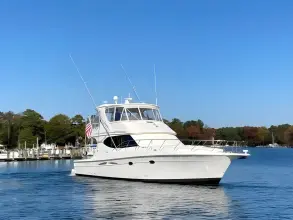 Thumbnail von Silverton 50 Convertible Reelaxing