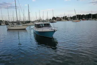 Thumbnail von Hylas M44 Promesa