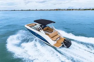 Thumbnail von Sea Ray SDX 250