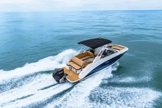 Thumbnail von Sea Ray SDX 250