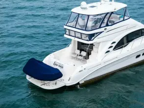 Thumbnail von Sea Ray 580 Sedan Bridge SEA-DELS