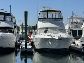 Thumbnail von Silverton 42 Convertible She's From Boston