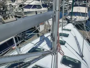 Thumbnail von Beneteau Oceanis Clipper 393 RAREBIRD