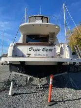 Thumbnail von Carver 56 Voyager