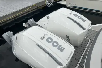 Thumbnail von Sea Ray SLX 310