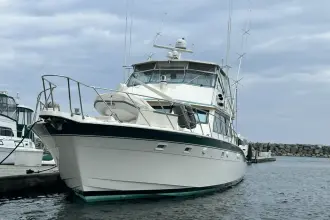 Thumbnail von Hatteras 60 Convertible