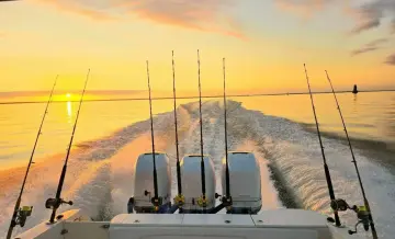 Thumbnail von Wellcraft 352 Sport