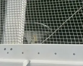 Thumbnail von Fountaine Pajot Saona 47 Endeavour