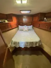 Thumbnail von Egg Harbor 37 Convertible Monkey Business