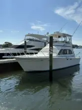 Thumbnail von Egg Harbor 37 Convertible Monkey Business