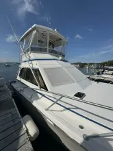 Thumbnail von Egg Harbor 37 Convertible Monkey Business