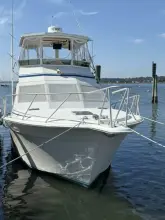 Thumbnail von Egg Harbor 37 Convertible Monkey Business