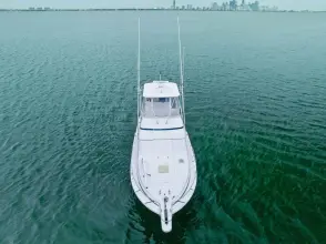 Thumbnail von Bertram 39 Convertible Mr. Bond