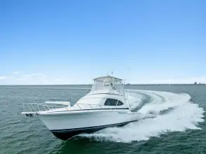 Thumbnail von Bertram 39 Convertible Mr. Bond