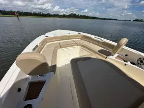 Thumbnail von Scout 261 XSS