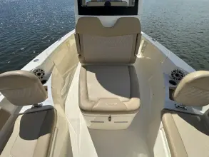 Thumbnail von Scout 261 XSS