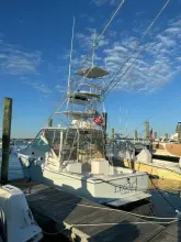 Thumbnail von Cabo 31 Express Legacy