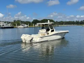 Thumbnail von Scout 260 LXF