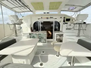 Thumbnail von Royal Cape Catamarans Majestic 53 Orbit
