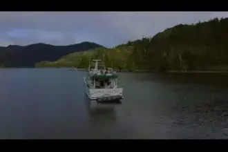 Thumbnail von Falcon 62 Miss Brizz